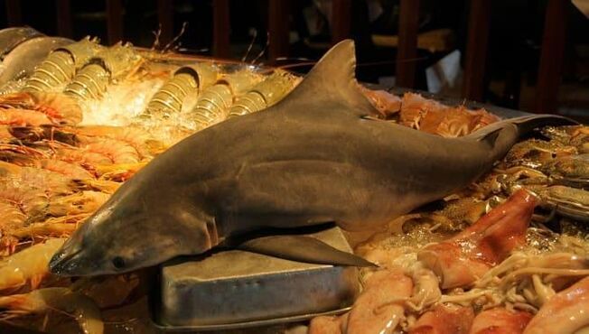 Viande de requin pour augmenter la puissance