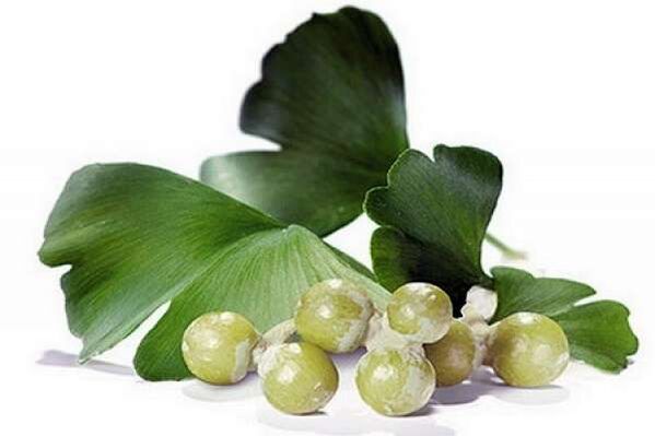 Le Ginkgo Biloba augmente la puissance masculine